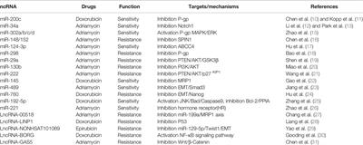 The Role of Non-Coding RNAs in Breast Cancer Drug Resistance